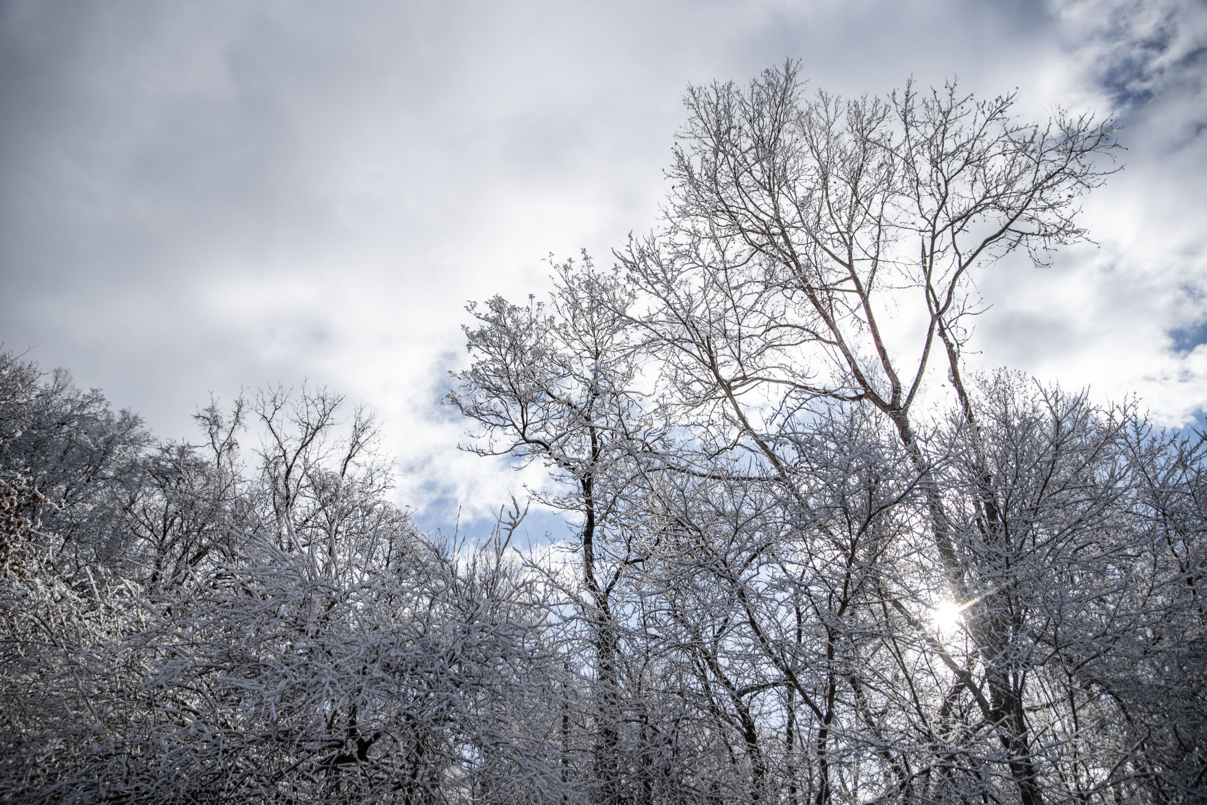 Snow day